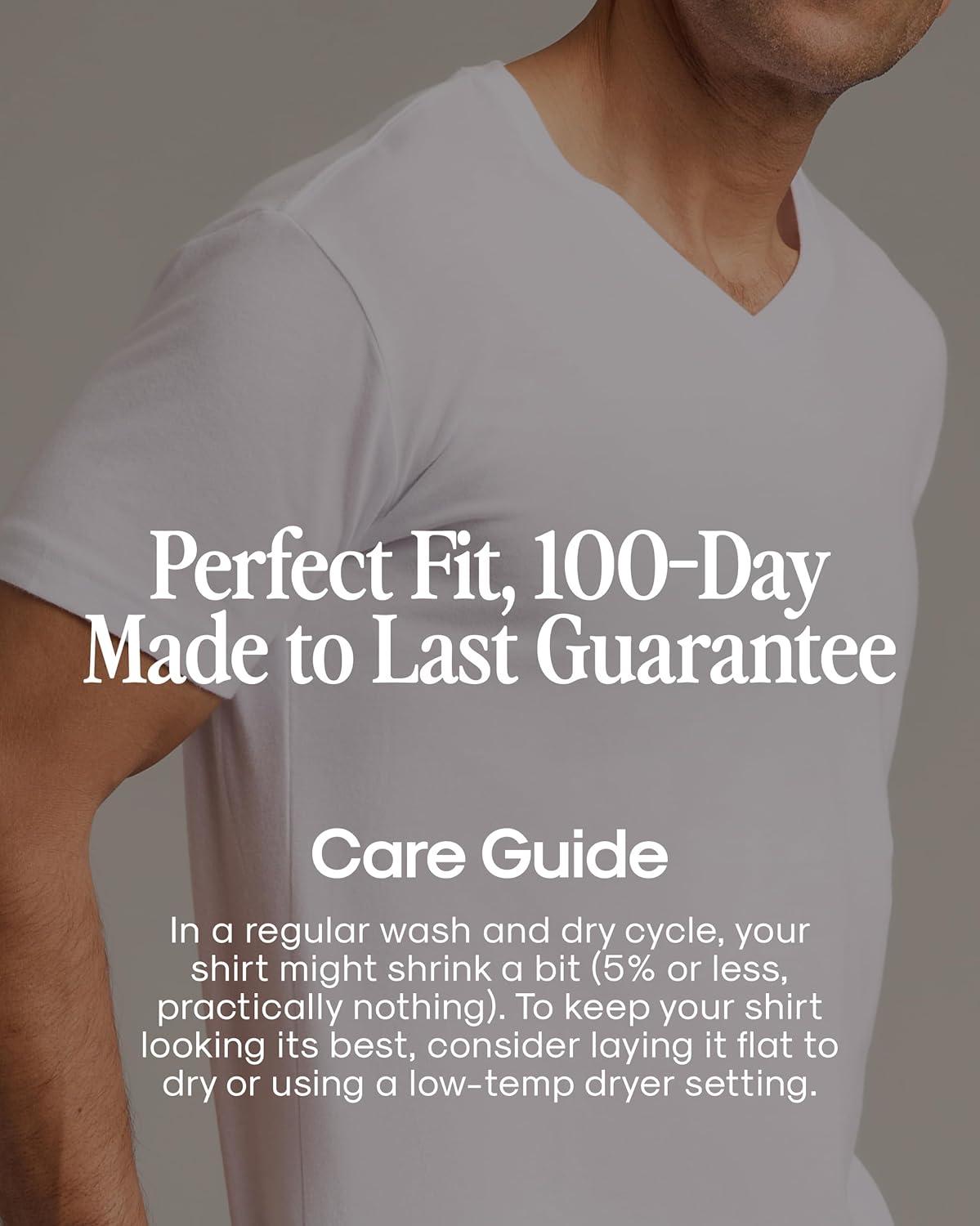 imageTrue Classic Mens V Neck T Shirts  Cotton V Neck Shirts for Men VNeck Mens TShirts and Undershirts for Men PackSinglesHeather Gray
